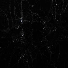 Autoerotic Hallucinations /CLIP