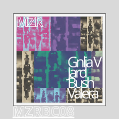 Gnlja V