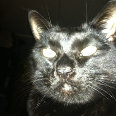 01-1_October 26, 2025