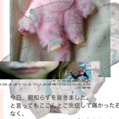 『コン』と『ス』と『タン』