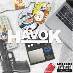 HAVOK MIX VOL. 5 (ZTONTHEBEAT)