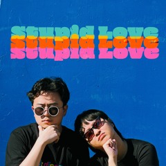 Stupid Love