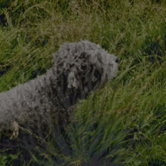 in memoria \\ prod. artemis