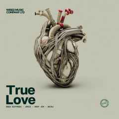 Enzo Siffredi, Joezi, Rody Joh - True Love feat. AKIKI (Extended Mix)