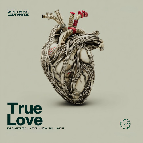 Enzo Siffredi, Joezi, Rody Joh - True Love feat. AKIKI (Extended Mix)