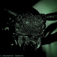 i encounter insects (Full Album 2023)