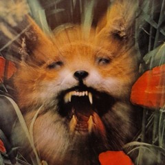 3XL w/ e l e m e n t - City Fox 131123