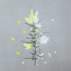 quand les ajoncs fleurissent