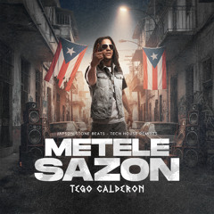 Métele Sazón - Tego Calderón (Tech House Remix)