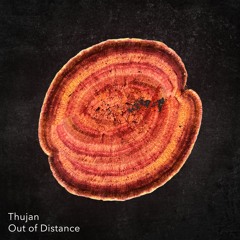 PREMIERE: Thujan - Out Of Distance [Serafin Audio Imprint]