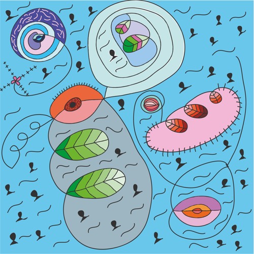 Something Doesn't Feel Right