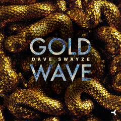 Dave Swayze - Last Flight To Paris (Original Mix) - YouTube