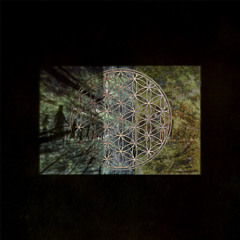 lifeordeath(prod jonahbru)