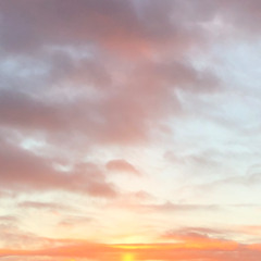 dumb and poetic bruh