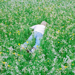 Trying to Feel Alive