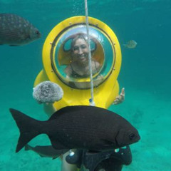 Review Special Price Scuba Doo Underwater Scooter In Punta Cana Half Day