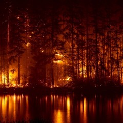 AIR BORN (prod by WOLFGANG MERCURY)