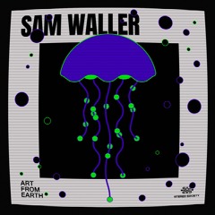 Sam Waller - 2nd Wave