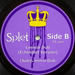 Liminal Dub (Echosplet Version)