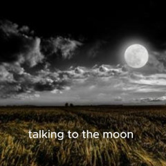 Talking to the Moon (Cover)