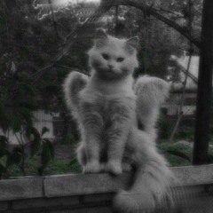 ТАМ ГДЕ НАС НЕТ