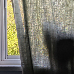 morning song ft joma