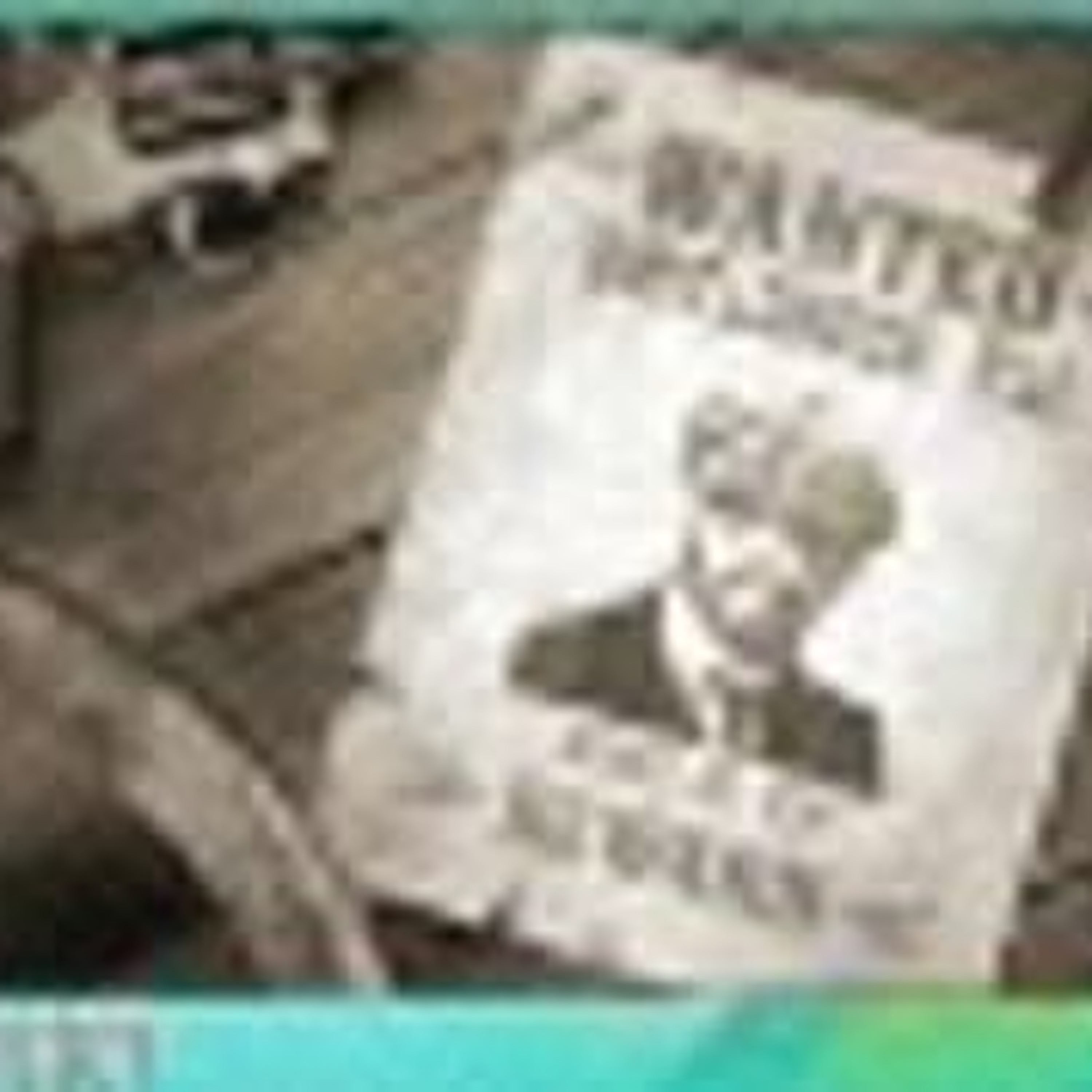 Le Podcast Oneshot Media