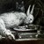 Artwork for Rabbit Hole