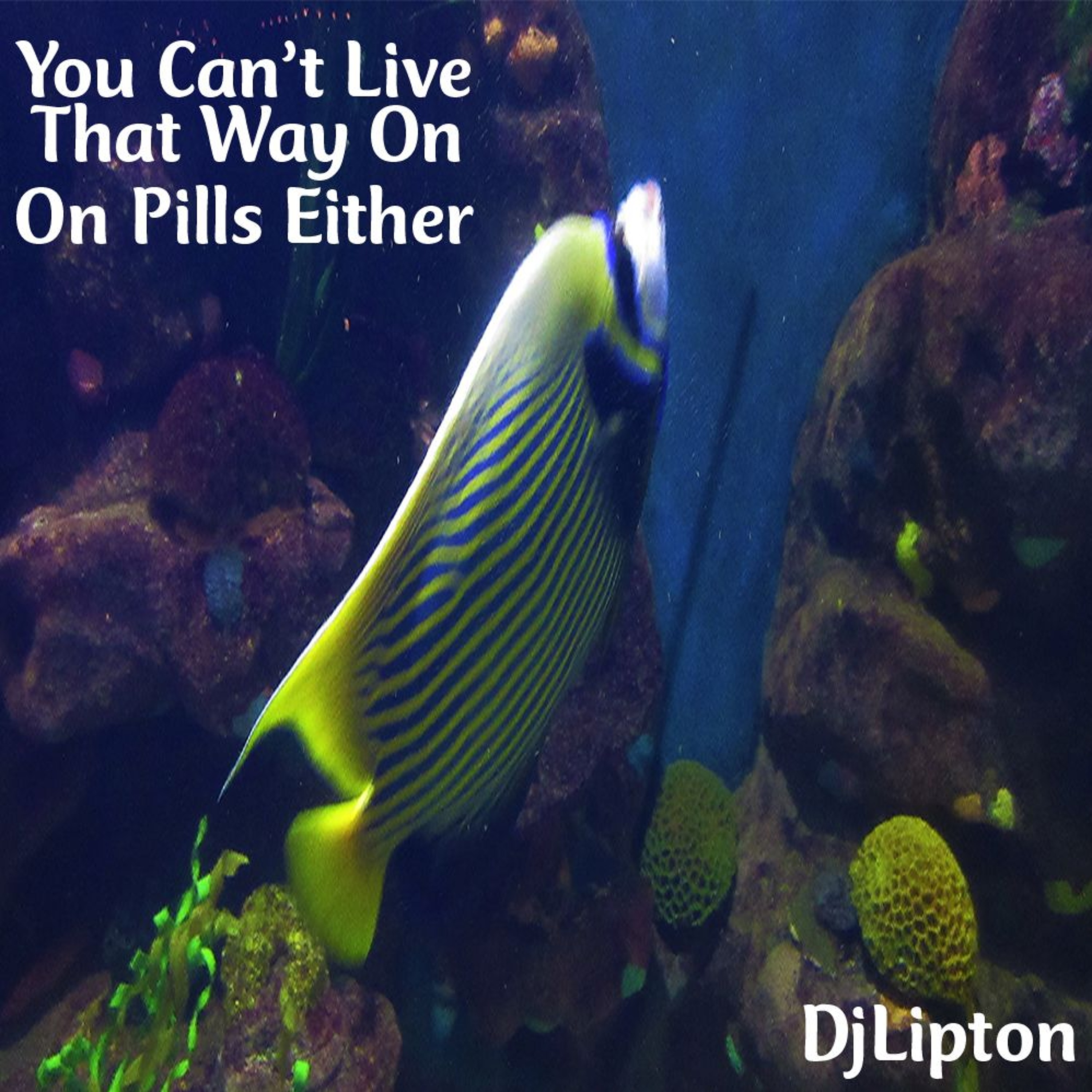 You Can't Live That Way On Pills Either episode artwork