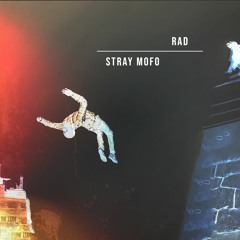 Stray Mofo