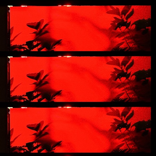 Mutual Dreams (Intro Version)