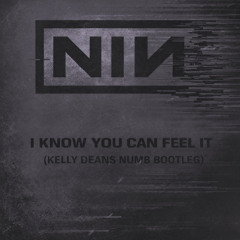 Nine Inch Nails - I Know You Can Feel It (Kelly Dean's Numb Bootleg)
