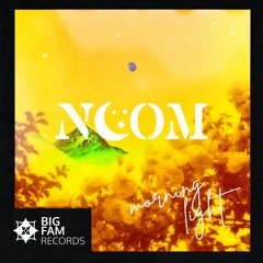 Noom FT Mathew Newsam - Morning Light (Radio Edit)