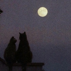 ПОШЛАЯ МОЛЛИ - Типичная вечеринка с басейном minus