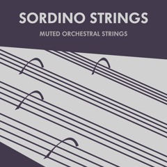 Sordino Strings Demo - Amicus - By Kaizad & Firoze Patel