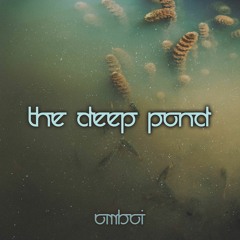 The Deep Pond