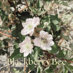 Blackberry Bee