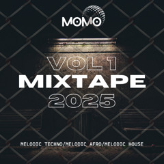 Momo Mixtape Vol I 2025 | Melodic Techno/Melodic Afro/Melodic House