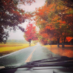 cip - nirvana (mxsui)