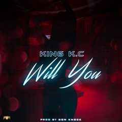 Will You (Prod. by Don Knock)