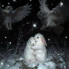 sээ it thru (p. fearjahh x yunoqq)