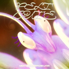 FELT CUTE MIGHT METAMORPHOSE LATER