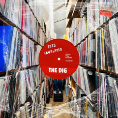 Unwrapped 2025 - The Dig End of Year Special - Dance Nation Radio