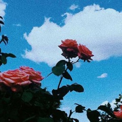ralph castelli - morning sex (slowed + reverb)