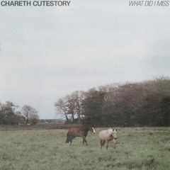 Chareth Cutestory - Chasing