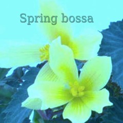 Spring Bossa (For two El. guitars and drum)