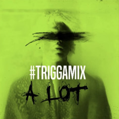 Trey Songz - A Lot (TriggaMix)