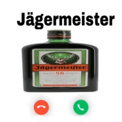 Future Evolution (SEGERMEISTER REMIX)