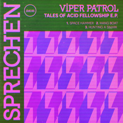Viper Patrol - Space Hammer