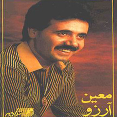 Moein Raz